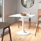 DIning table/centre table